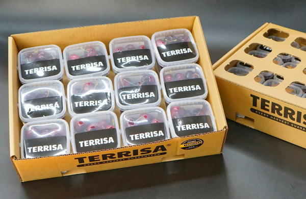 TERRISA Premier U.S.A. Blueberries