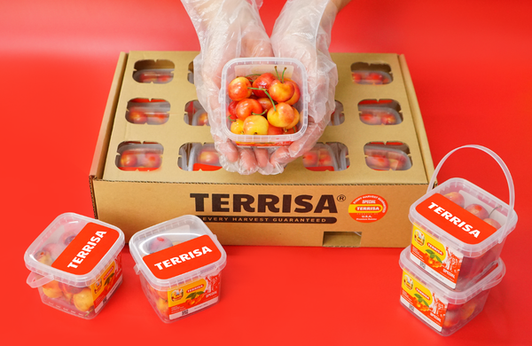 TERRISA Special Rainier U.S.A. Cherries