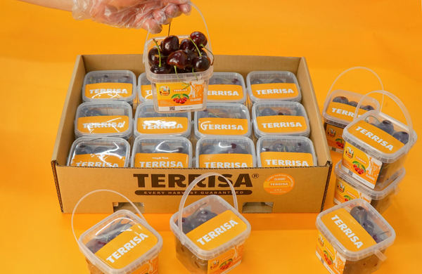 TERRISA Classic U.S.A. Cherries