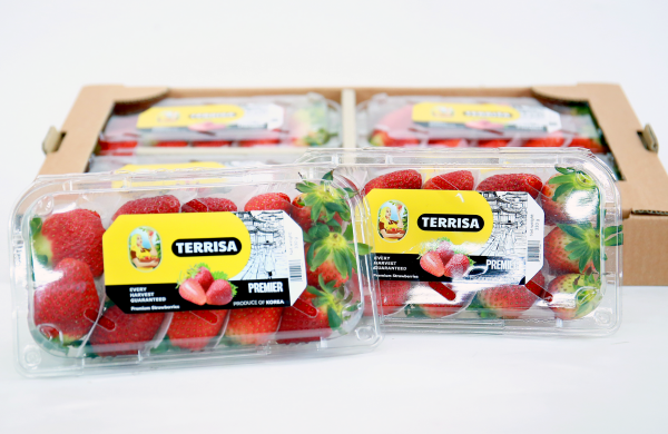TERRISA Premier Korean Strawberries