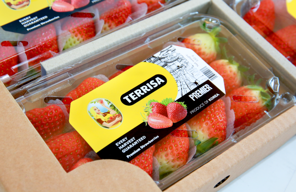 TERRISA Premier Korean Strawberries