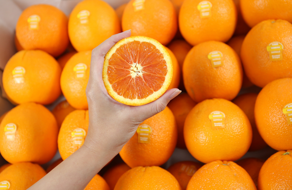 TERRISA Special Cara Cara Australian Oranges