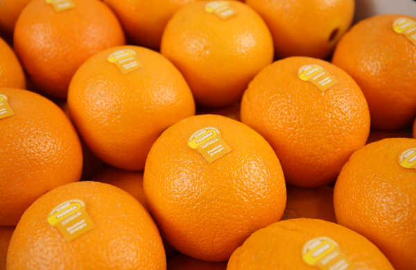TERRISA Special Cara Cara Australian Oranges