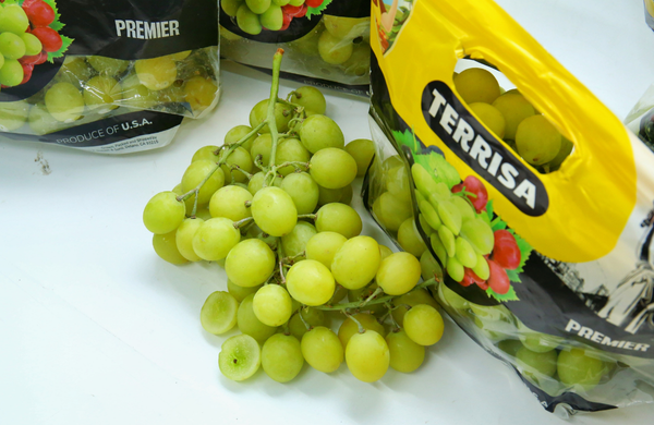 TERRISA Premier U.S.A. Green Grapes