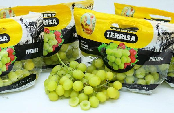 TERRISA Premier U.S.A. Green Grapes