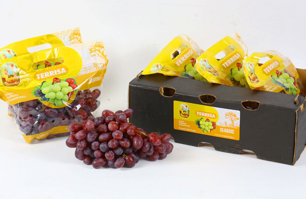 TERRISA Classic South African Red Grapes
