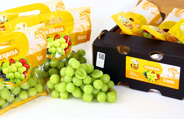 TERRISA Clasic South African Green Grapes