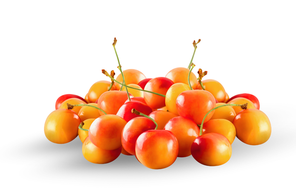 Yellow Cherry