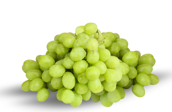 Autumn King Grape