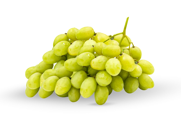 Green Envy Grape