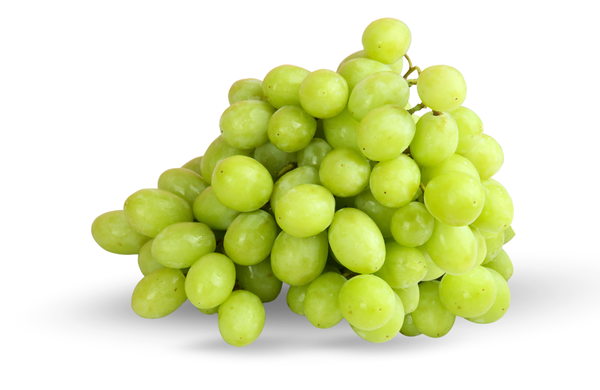 Sweet Globe Grape
