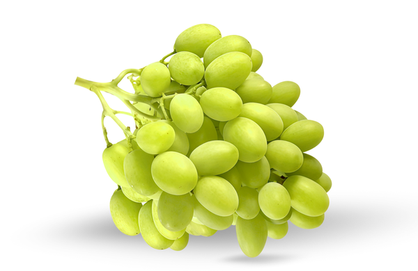 Timpson Grape