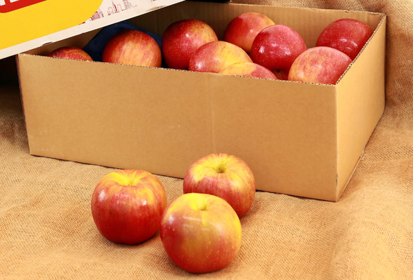 TERRISA Special EverCrisp U.S.A. Apples