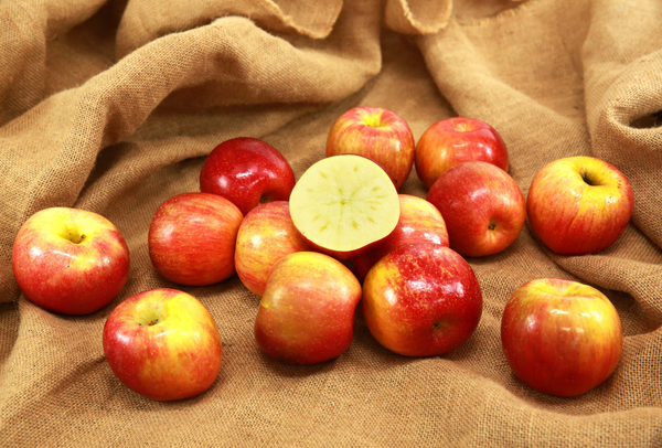 TERRISA Special EverCrisp U.S.A. Apples