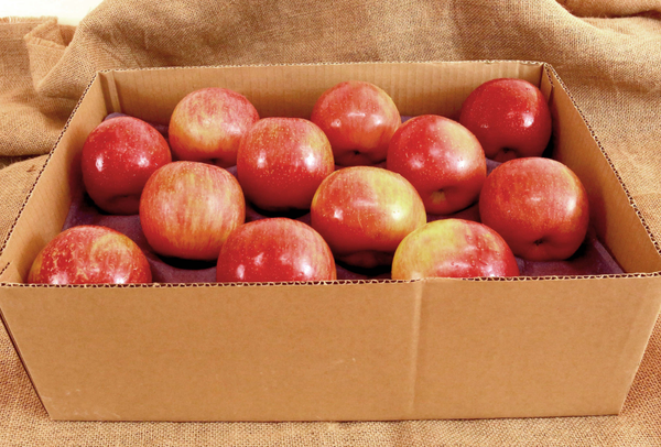 TERRISA Special EverCrisp U.S.A. Apples