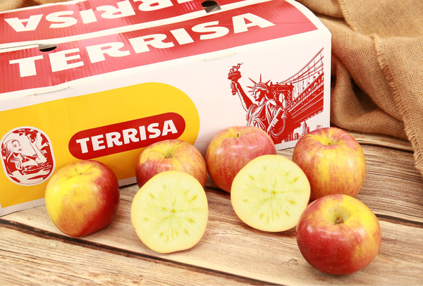 TERRISA Special EverCrisp U.S.A. Apples