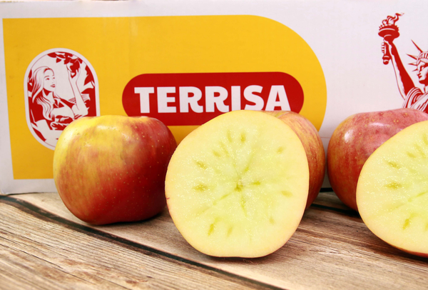 TERRISA Special EverCrisp U.S.A. Apples