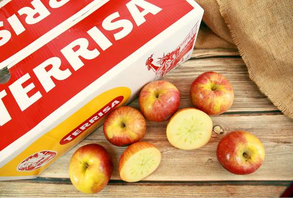 TERRISA Special EverCrisp U.S.A. Apples