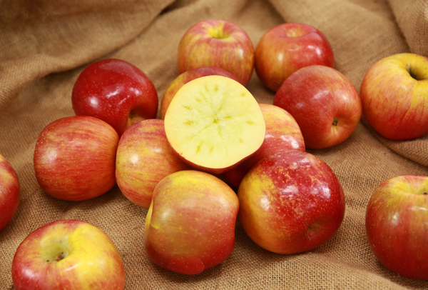 TERRISA Special EverCrisp U.S.A. Apples