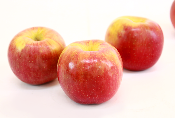 TERRISA Special EverCrisp U.S.A. Apples