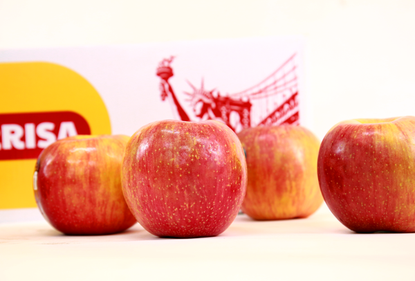 TERRISA Special EverCrisp U.S.A. Apples