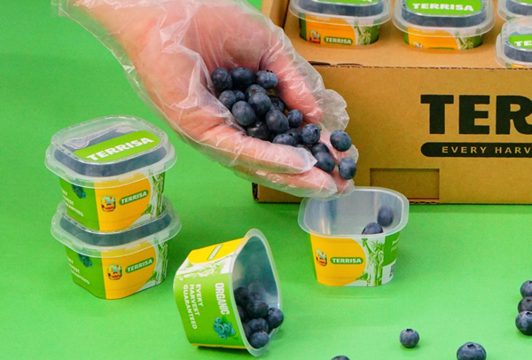 TERRISA Organic U.S.A. Blueberries