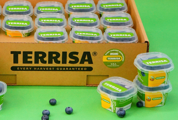 TERRISA Organic U.S.A. Blueberries