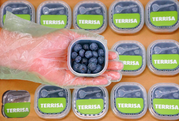 TERRISA Organic U.S.A. Blueberries