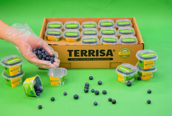 TERRISA Organic U.S.A. Blueberries