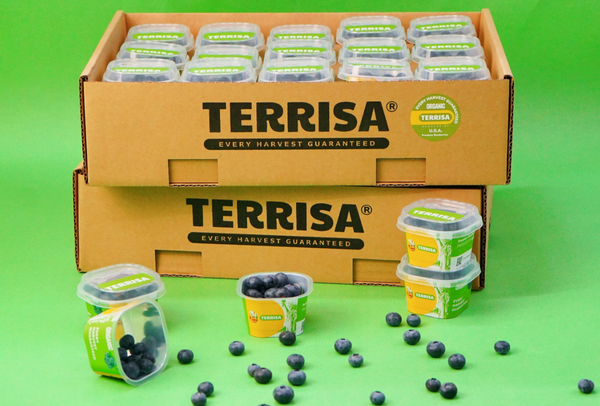 TERRISA Organic U.S.A. Blueberries
