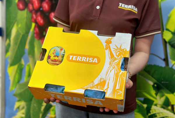TERRISA Classic U.S.A. Cherries 2.5 kg