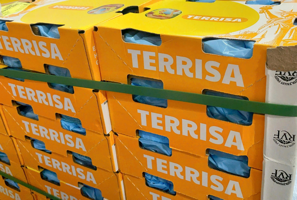 TERRISA Classic U.S.A. Cherries 2.5 kg