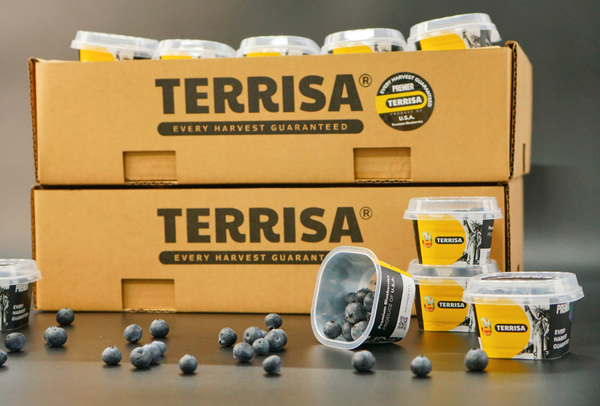 TERRISA Premier U.S.A. Blueberries