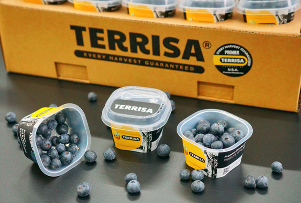 TERRISA Premier U.S.A. Blueberries