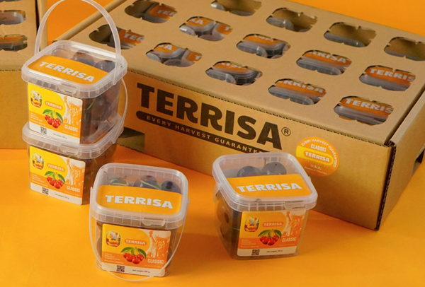 TERRISA Classic U.S.A. Cherries
