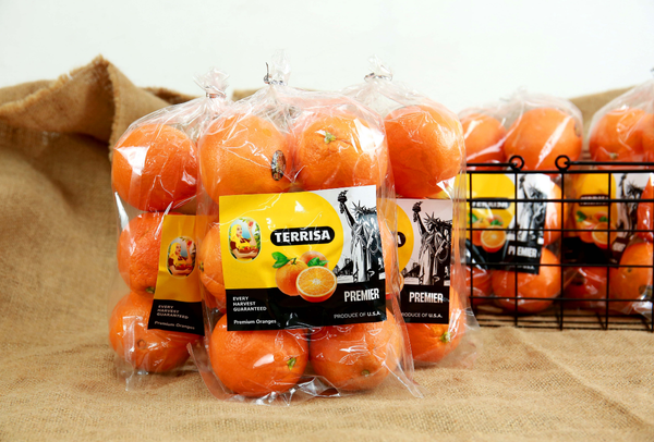 TERRISA Premier U.S.A. Oranges