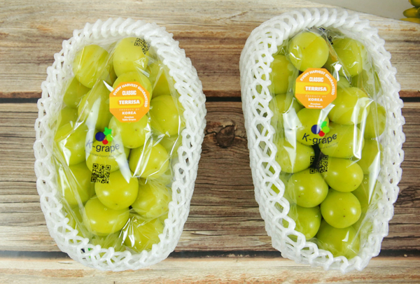 TERRISA Classic Shine Muscat Korean Grapes