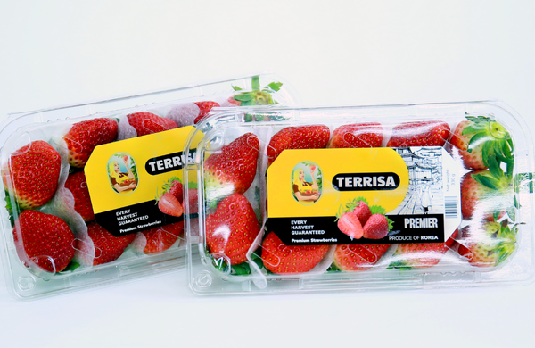 TERRISA Premier Korean Strawberries