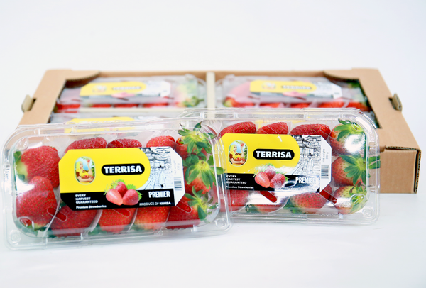 TERRISA Premier Korean Strawberries