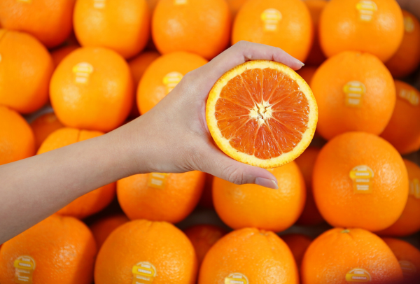 TERRISA Special Cara Cara Australian Oranges