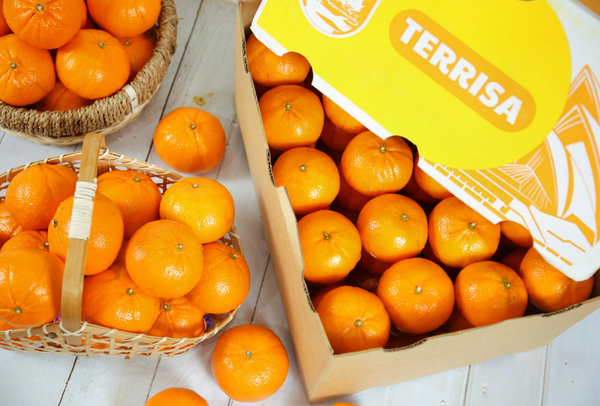 TERRISA Classic Australian Mandarins