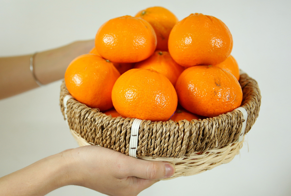 TERRISA Classic Australian Mandarins