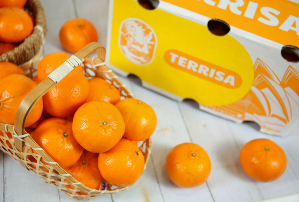 TERRISA Classic Australian Mandarins