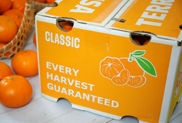 TERRISA Classic Australian Mandarins
