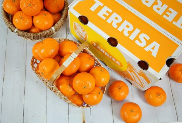 TERRISA Classic Australian Mandarins