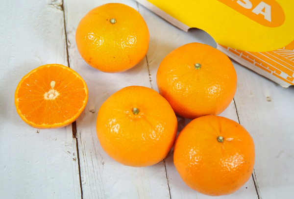 TERRISA Classic Australian Mandarins