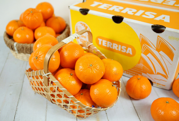 TERRISA Classic Australian Mandarins