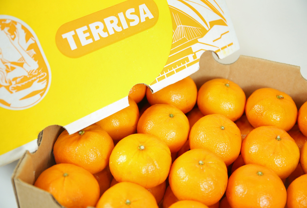 TERRISA Classic Australian Mandarins