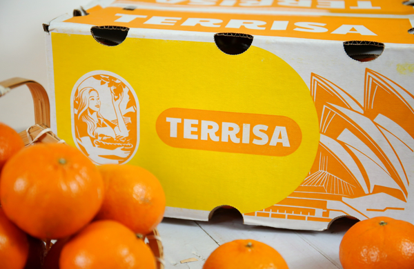 TERRISA Classic Australian Mandarins