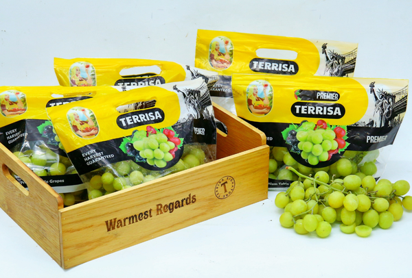 TERRISA Premier U.S.A. Green Grapes
